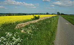 cleeve-hill-road