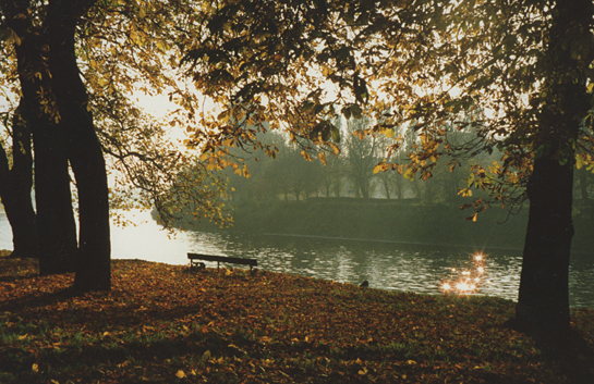 York-1 EllieStevenson