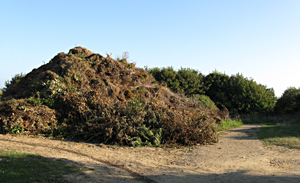 Site of previous Beauregard Hotel