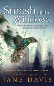 Smash All the Windows by Jane Davis